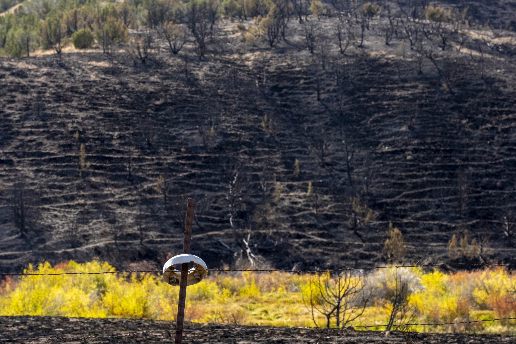 Badger Fire damage in Trapper Creek